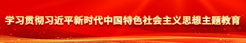 啊啊啊污学习贯彻习近平新时代中国特色社会主义思想主题教育